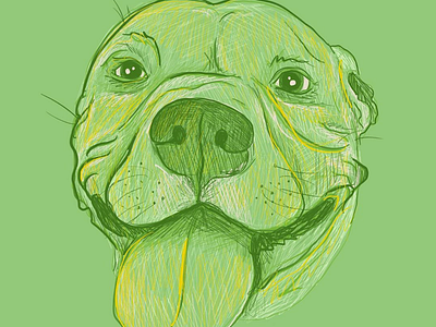 Dog Illo 3