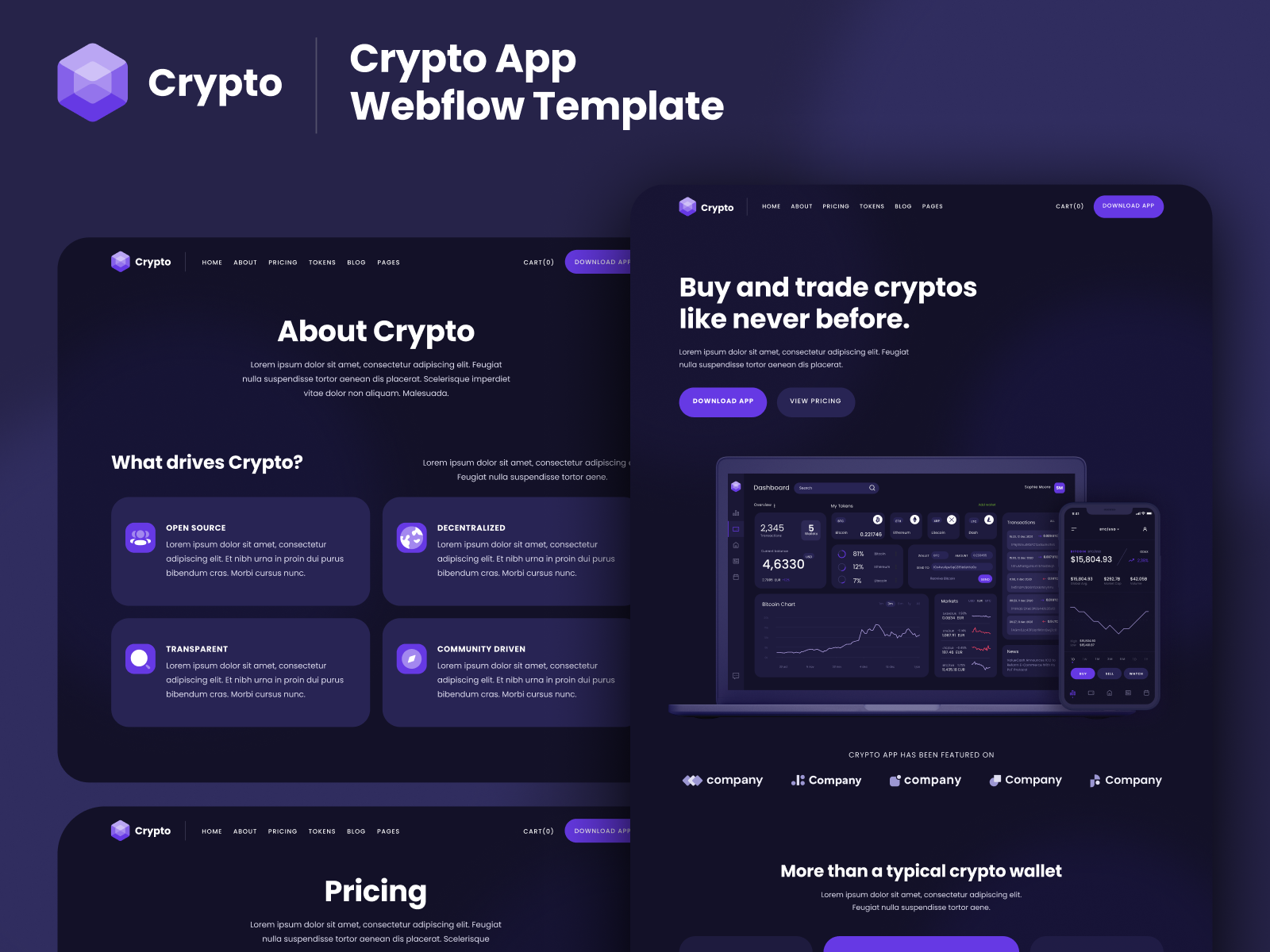 Crypto sites. Webflow Интерфейс. Webflow Template. Webflow Design. Webflow UI.