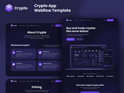 Presentation - Crypto Webflow Template bitcoin blockchain btc coinbase crypto cryptocurrencies cryptocurrency eth ethereum home homepage ico landing landing page landingpage template web design webdesign webflow website