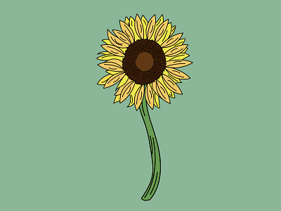 Sunflower Stock Illustration art design icon illustration illustrator logo sunflower vector