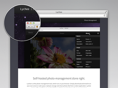 Lychee 1.1 is out! album download github lychee management open photo website