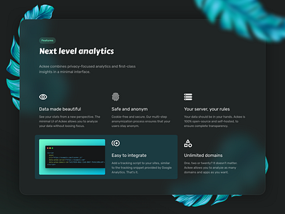 Ackee — Next level analytics analytics app clean features features page flowers green icons minimal onepager opensource section webapp website