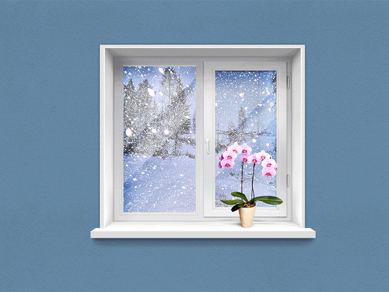 24 Plastic window illustration process corporate e commerce flower illustration oldschool photoshop process skeuomorphism webdesign window winter