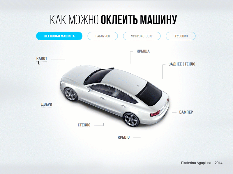 34 car branding infographic