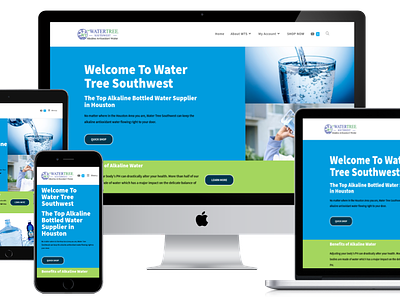 Metaphysical Supply Store Website bottled water supplier website design elementor water store web design website woocommerce wordpress