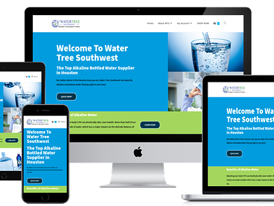 Metaphysical Supply Store Website bottled water supplier website design elementor water store web design website woocommerce wordpress