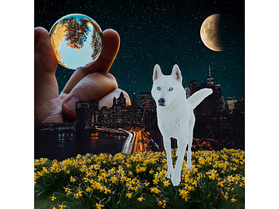 Wolf in the City collage design graphic design