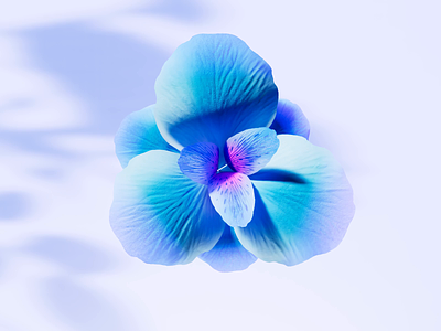 Blue Flower 3d visualization / Houdini 3d art blender cinema 4d cuberto effect flower graphics houdini icons modeling morphism object petal render ui ux visualization