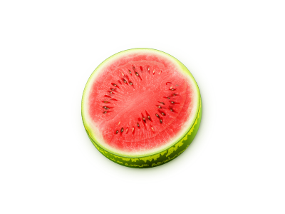 Vector Watermelon web icon/illustration