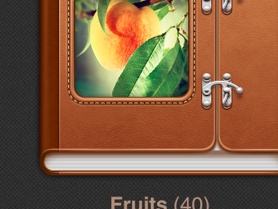 Photoalbum iPad app