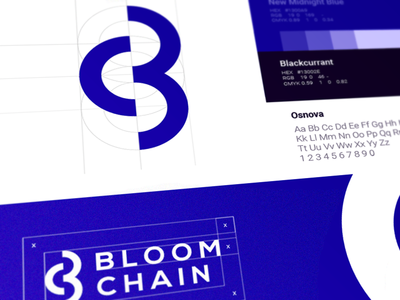 BloomChain Logo Design brandbook branding chain cuberto graphics guide icons illustration logo sketch ui ux