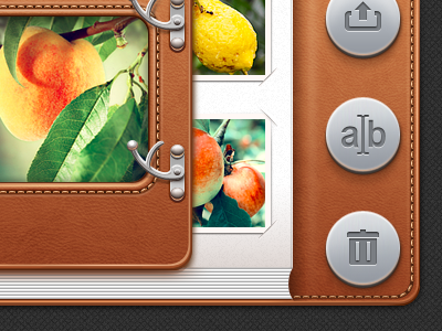 Photoalbum's controls for UI iPad app button interface ipad photo photoalbum ui