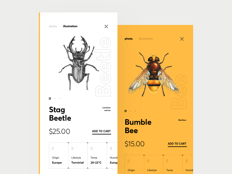Beetle bee