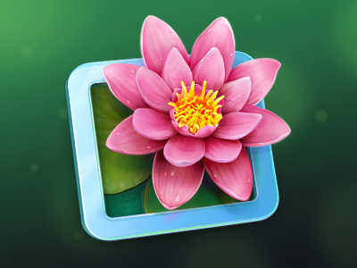 LilyView Mac OS icon app cuberto flower icons illustration mac os