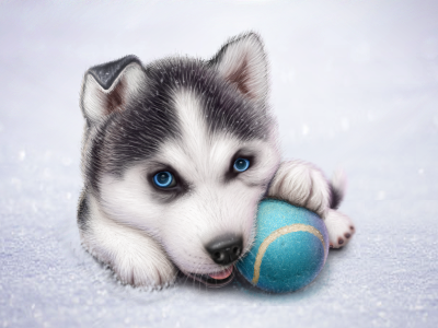 Husky illustration for web site app ball cuberto dog icon illustration snow