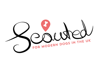 Scouted hand writing header logo script