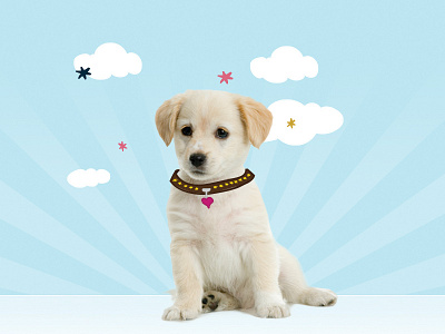Custom Puppy Banner Close Up art direction banner custom design dog graphic ilustration pet web design