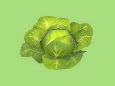 Cabbage 3d cabbage green low poly model vegetable