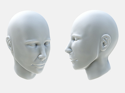 Human Head 3d head model poly sculpt