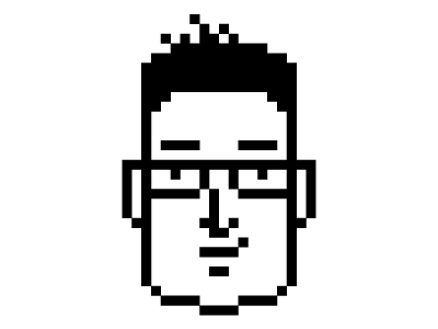 Wll 8 bit portrait