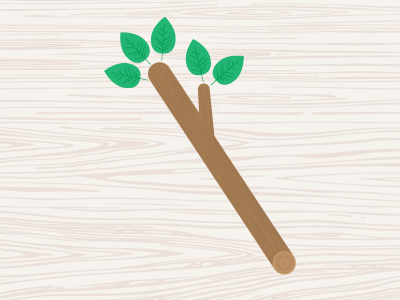 Stick illustration leaf leaves stick twig vector wood