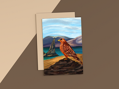 Galapagos Hawk Illustration