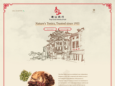 Traditional Chinese Medicine Online Shop mockup