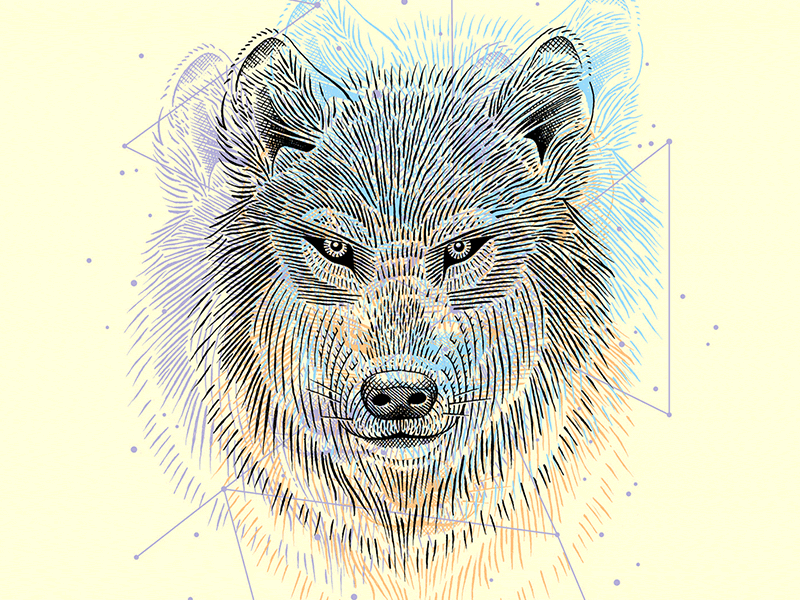 Alpha Lupi Prismatic animal bungie constellation destiny fur lines pastel shirt stars wolf woodcut