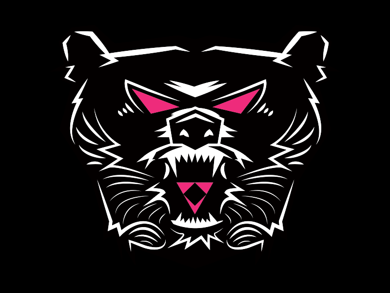 GRIZZLEE design direction gif gnarly grizzly identity logo vector vicious