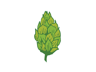 Hop beer brew green hand drawn hops ipa plant