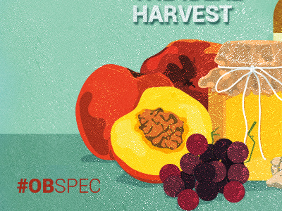 OBspec episodic artwork fruit harvest minimal