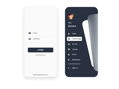 Login by IDESIGNKENYA SOLUTIONS on Dribbble