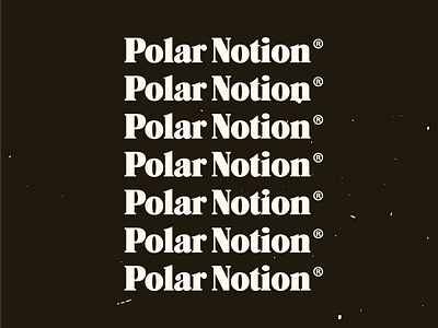 Polar Notion ® logotype registered trademark wordmark