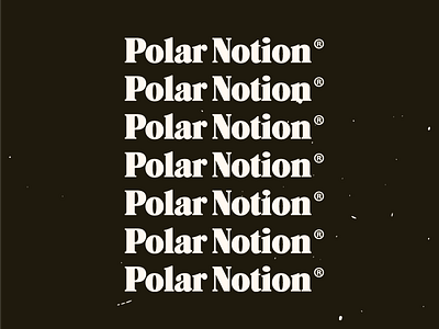 Polar Notion ®