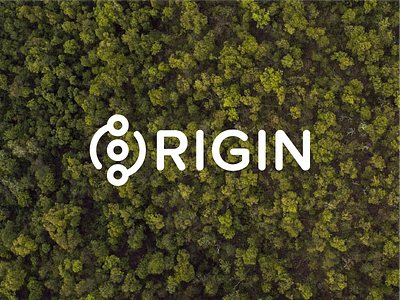 Origin Logo branding icon logo logotype typography wordmark