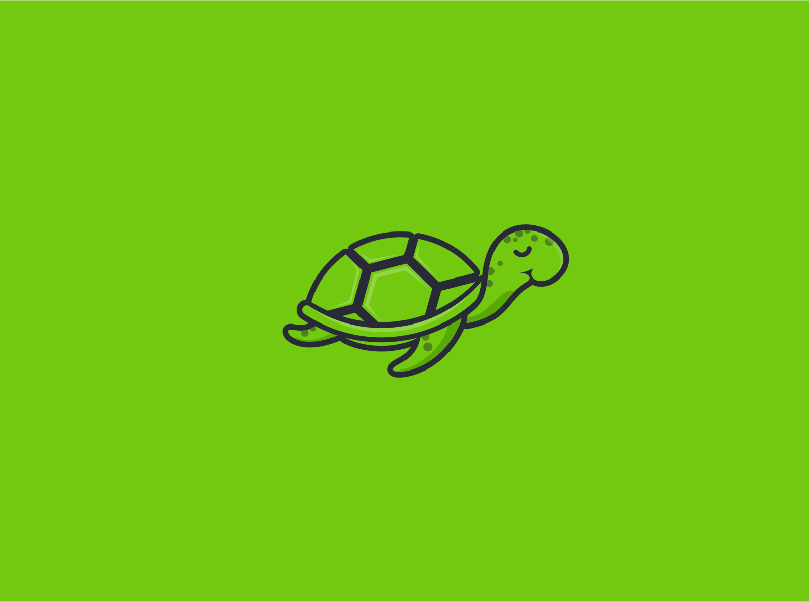 The lazy turtle logo by Abhinaya Naila on Dribbble