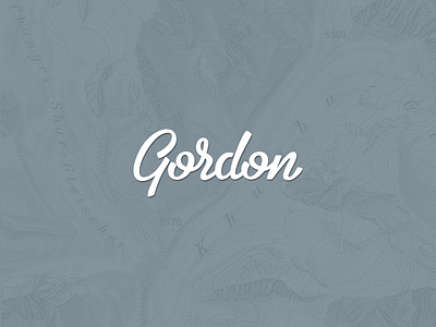 Gordon, personal branding. brand gordonjakob information design logo personal ui website