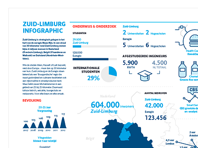 Infographic Zuid-Limburg dataviz infographics