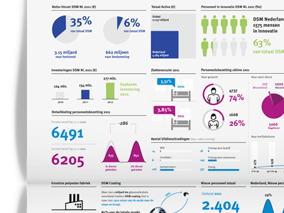 DSM Netherlands, Visual Summary annual report diagrams graphs information design stats
