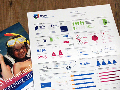 Dsm Visual Summary illustration information design print
