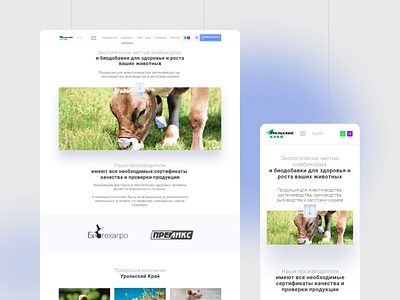 Ural Territory — Website animals design natural ui ux web webdesign website