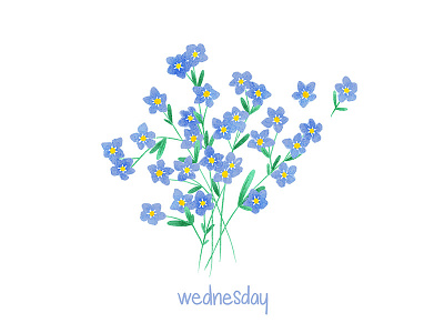 Wednesday flowers forget me not plants wednesday week