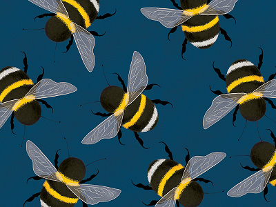 Bumble Bee animal bee bumblebee drawing illustration pattern photoshop