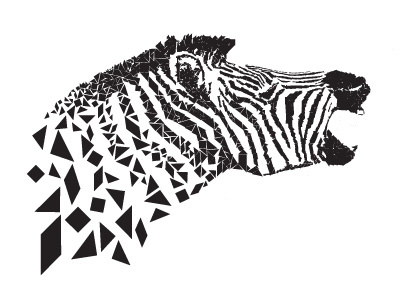 Zebra animal black white cebra composition deconstruction illustration nature screaming tangram wild animal zebra