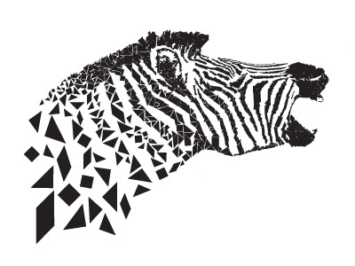 Zebra nature composition screaming wild animal cebra illustration deconstruction tangram black white animal zebra