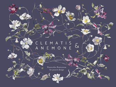 Clematis & anemone | seamless pattern