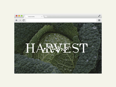 HARVEST : brand identity design banner brand identity brand image designing branding graphic design logo webpage