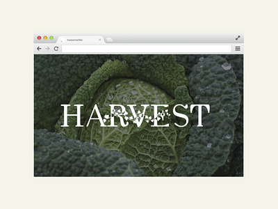 HARVEST : brand identity design