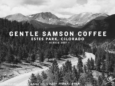 Samson Coffee branding coffee colorado logos typography
