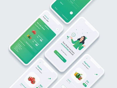 Flash Veg - Vegetable Delivery App app delivery design elegant graphic design green minimal ui veg